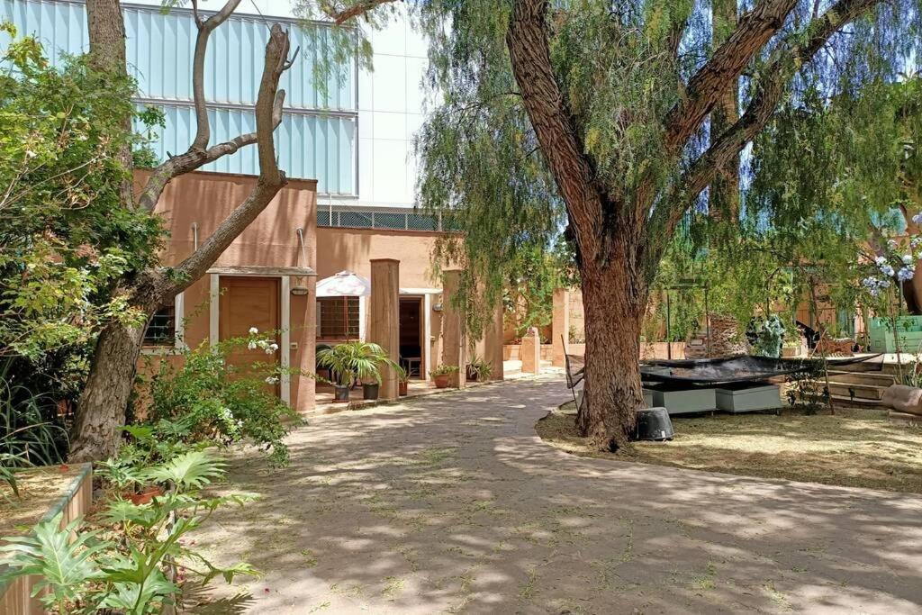 Apartamento-Bungalow Con Jardin Y Garaje Apartment Santa Cruz de Tenerife Exterior photo