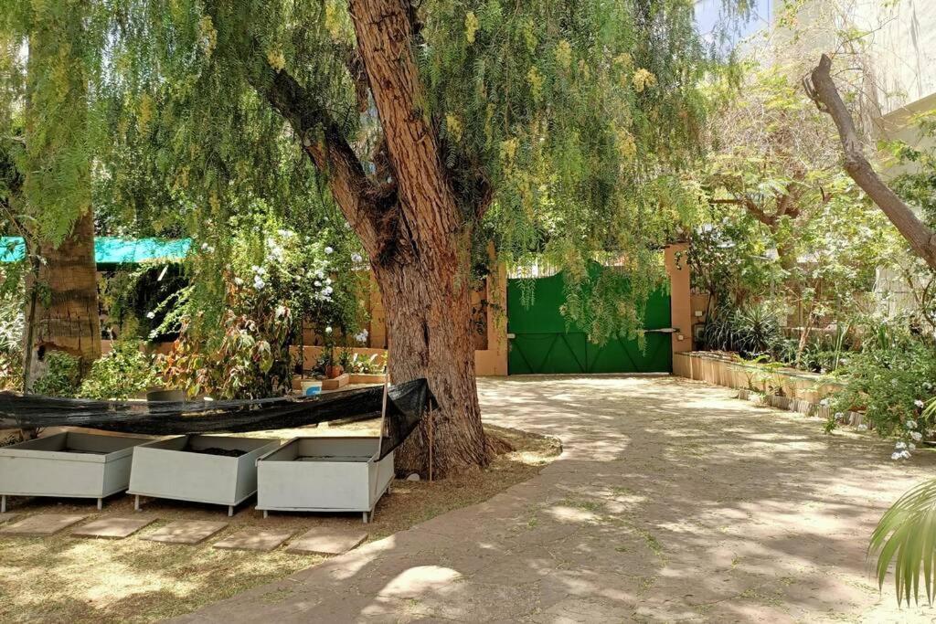 Apartamento-Bungalow Con Jardin Y Garaje Apartment Santa Cruz de Tenerife Exterior photo